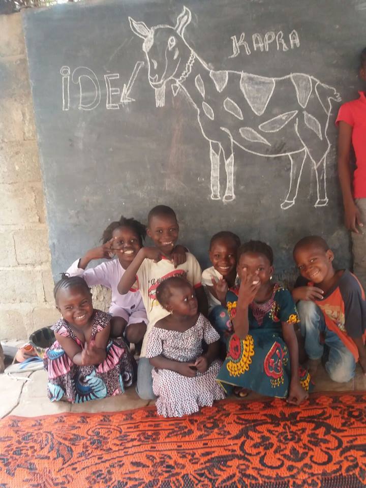 progetti microcredito capre Mali